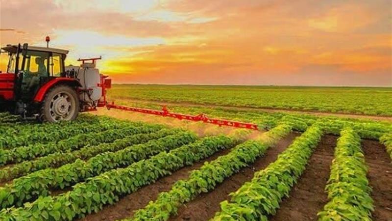 رئیس جهاد کشاورزی کردستان: طرحهای کشاورزی نقش مهمی در امنیت غذایی و توسعه پایدار دارند