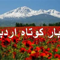 اخبار کوتاه/ جشنواره جایزه فیروزه در اردبیل برگزار میشود