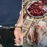 دستگیری شکارچی غیرمجاز در پارک سالوک اسفراین