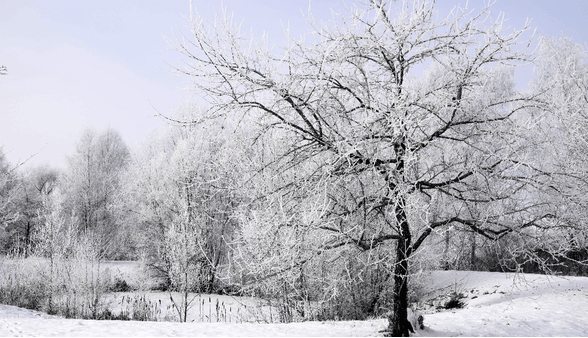 موج گسترده برف و باران در راه لرستان
