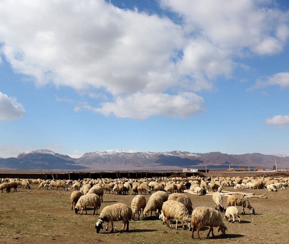 دشت یکانات مرند؛ از تنش آبی مزمن تا الگوی مدیریت پایدار آب