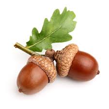 یک ترفند جالب برای پخت بلوط