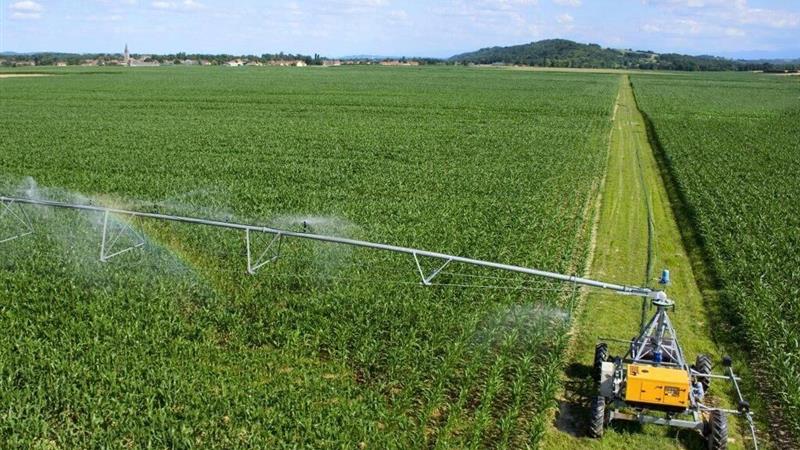 بهار کشاورزی در زمستان ایلام؛ افتتاح ۴۸ طرح با ۹ هزار فرصت شغلی