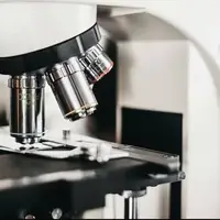 رتبه‌های برتر ایران در ژن‌تراپی و ویرایش ژن