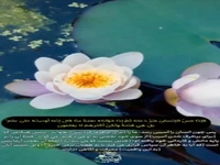 نعمتی که به انسان می‌رسد، آزمایش اوست!