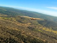 پرواز دیدنی پادشاه آسمان