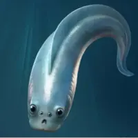 اجداد مهره‌دار ما احتمالاً چهار چشم داشتند