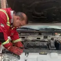 هشدار آتش نشانی سمنان درباره وجود حیوانات زیر خودرو