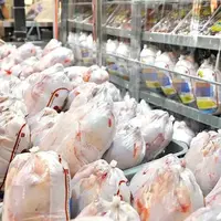 اثر کالابرگ بر بازار مرغ و تخم‌مرغ