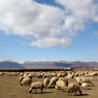 دشت یکانات مرند؛ از تنش آبی مزمن تا الگوی مدیریت پایدار آب