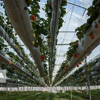 تمرکز سمنان بر صرفه‌جویی آب در تولید پایدار کشاورزی با ۱۳۳ طرح