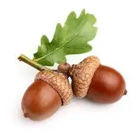 یک ترفند جالب برای پخت بلوط