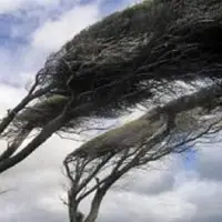 سرعت وزش باد در همدان به ۵۰ کیلومتر بر ساعت رسید، ورود سامانه بارشی