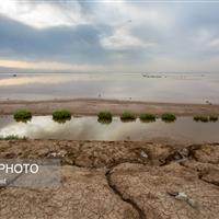 تالاب‌های قزوین؛ از فریاد خشکسالی تا نجوای امید