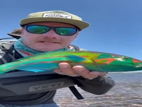 ماهی به این خوشگلی دیده بودین؟