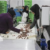 صنایع تبدیلی حلقه گمشده بخش کشاورزی استان اردبیل