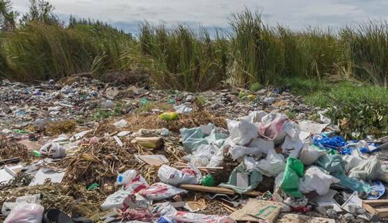 پلاستیکها ۸۳ میلیون سال زندگی سالم را ربودند