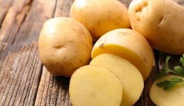 سیب زمینیهای سبز و جوانهزده خطرناک هستند؟