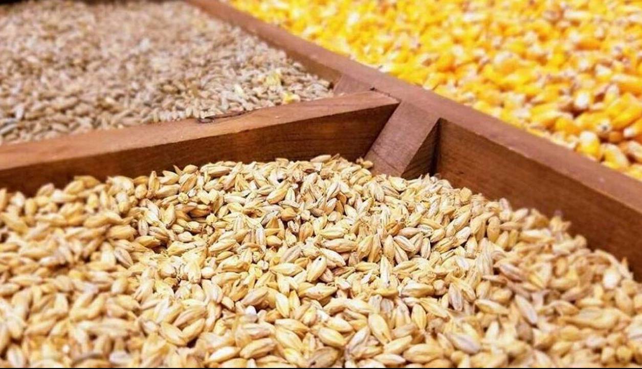 رفع محدودیت واردات نهادههای دامی تا پایان سال