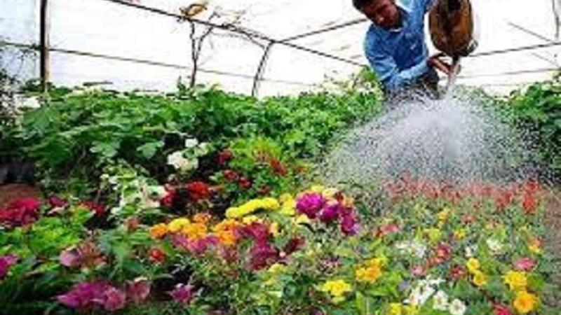 تولید بیش از ۱۲ میلیون انواع گل؛ گامی در جهت خودکفایی و توسعه منابع درآمدی شهرداری بجنورد