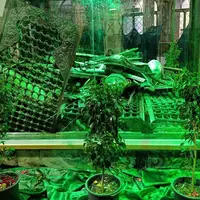 حرم مطهر سبزقبا(ع) غبارروبی شد