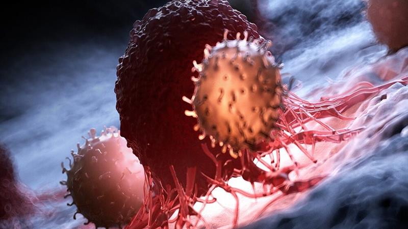 چرایی افزایش بروز سرطانها / شایعترین سرطانها در ایران