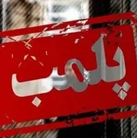 پلمب نانوایی متخلف در نیشابور