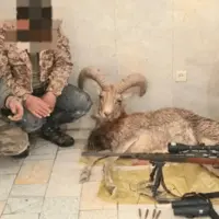 دستگیری شکارچیان غیرمجاز در میانجلگه