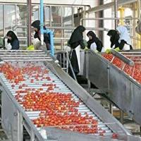 ایجاد ۹۰ فرصت شغلی در خراسان جنوبی با صدور ۱۱ مجوز صنایع تبدیلی