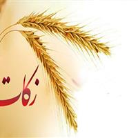 رشد ۲۴ درصدی زکات پرداختی زنجانیها