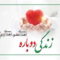 اهدای عضو یک خانم 45 ساله در قم