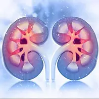 داروی دیابت روند پیری کلیه را کُند میکند