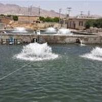 فعالیت ۸۳۴ مزرعه پرورش آبزیان در شهرستان ماهنشان
