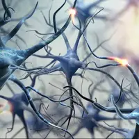 بیماری پارکینسون تولید انرژی بدن را تغییر میدهد