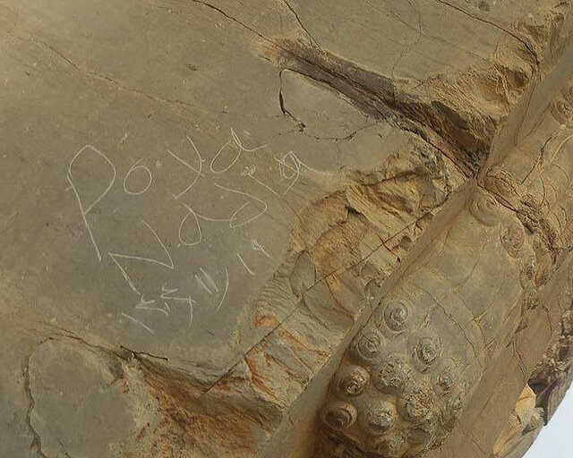 یادگارینویسی از دروازه ملل تخت جمشید پاک شد؛ پرونده متخلفان در دستگاه قضایی