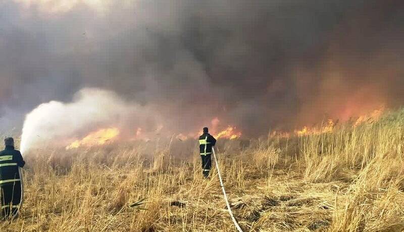 مهار آتشسوزی در جنگلهای مرزنآباد؛ لاشبرگها طعمه حریق شدند