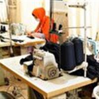 تحقق ۹۴ درصدی تهعد اشتغال بسیج سازندگی خراسانجنوبی