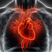 سندروم قلب شکسته