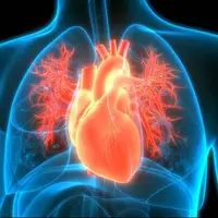 خوراکی های تقویت کننده قلب