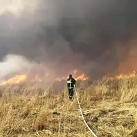 مهار آتشسوزی در جنگلهای مرزنآباد؛ لاشبرگها طعمه حریق شدند