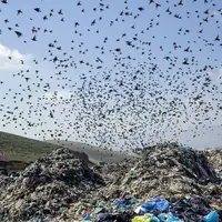 تدوین نقشهراه زیستمحیطی سایت آرادکوه با همکاری بینالمللی