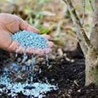 تامین و توزیع بیش از ۲ هزار و ۹۸۰ تن کود فسفات در استان زنجان