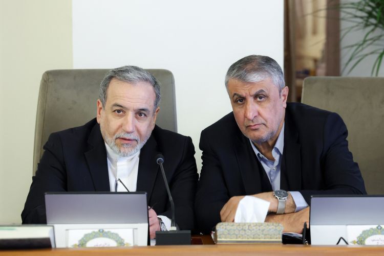 گزارش عراقچی از روند مذاکرات ژنو در جلسه هیئت دولت