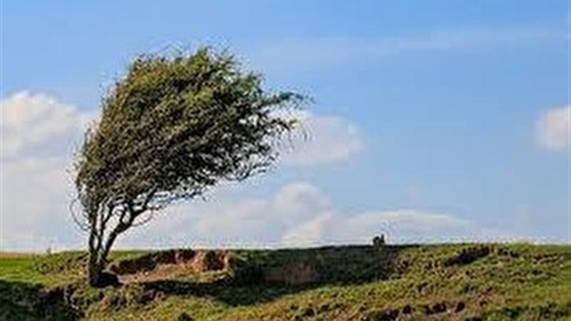 صدور هشدار زرد هواشناسی؛ وزش باد در زنجان