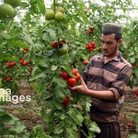 چهار شهرک و یک پایگاه تحقیقات کشاورزی در گرمی و انگوت ایجاد میشود