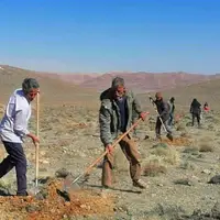 طرح احیای مراتع بوانات؛ ۲۵ هکتار نهالکاری و بذرکاری در ۱۷۸ هکتار از اراضی ملی