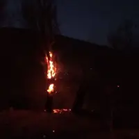 وقوع حریق در عرصه منابع طبیعی فریمان