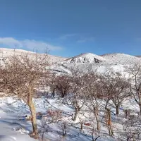 کاهش ناگهانی دما و بازگشت برف در راه آذربایجان شرقی