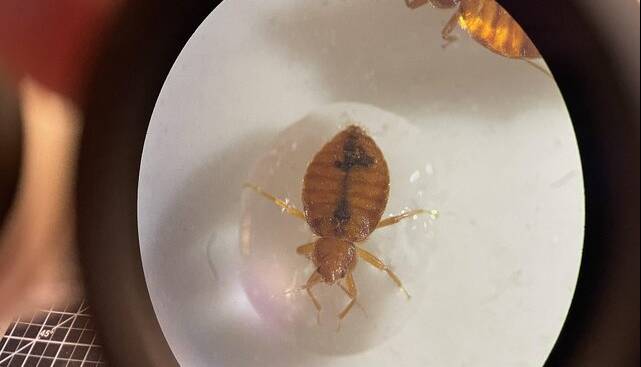 ساسها از آب میترسند!