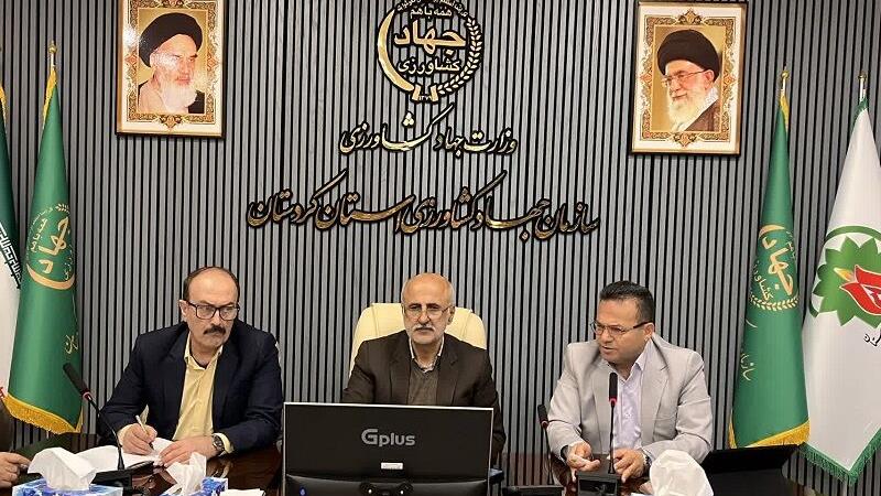 اعلام شرایط ویژه برای مدیریت سن غلات در استانهای غربی کشور